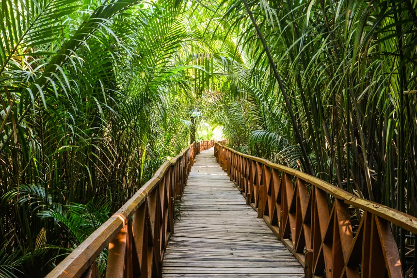 Dhani Nallah Walkway mangrove beach Mayabunder