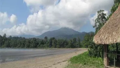 Kalipur Beach turtle nesting Diglipur