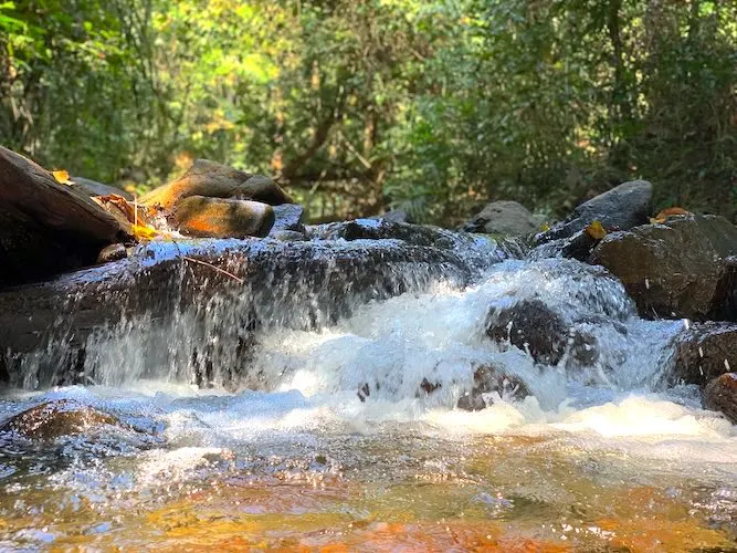 Panchvati Waterfall Rangat Middle Andaman